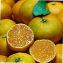 내당농산 이미지