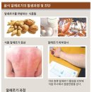 털보식품 중앙SUNDAY