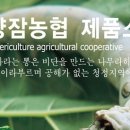 영천양잠협동조합 이미지