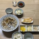 호노우 | [금남로] 광주 충장로 긴 꼬리 초밥 맛집 “호노우” ... 내돈내산 🩵