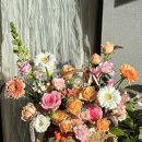 반송동161 | 창원 반송동 꽃집 레이첼플라워 꽃바구니