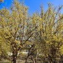 사신보건진료소 이미지