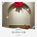 군포의왕키즈 | [내돈내산]🎈 군포 라온제나키즈룸 대여 후기｜아이랑 프라이빗하게 즐긴 무인 키즈룸