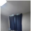 제주애견동반솔펜션 이미지