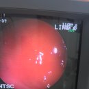 동물병원 All Pets 이미지