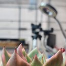 가빈농장 이미지