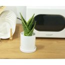 정화슈퍼 이미지