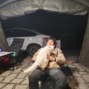 산디마을오토캠핑장 이미지