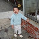 부은농장 이미지