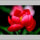 장동농장 이미지