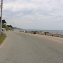 병곡2리 어촌계공동작업장 옆 | 해파랑길 23코스 고래불해변~후포항(2016,07,01)울진구간 77,8 km