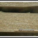 한성가스충전소 이미지