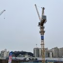 킹왕짱!! 서초역/교대역 강추 직장인 점심/회식 맛집 속리산 염소 요리 전문점(영업정보,가격,운영시간)