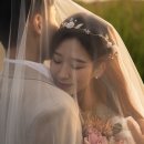 초이필름