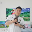 1904 | 양주고양이분양 멍냥스타 러시안블루 분양 후기 (1904)