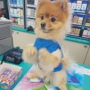 지에스25 용인스마트점 이미지