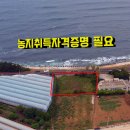 강정동-16 티스토리