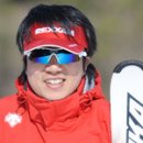 APSI Demonstration Skiing - Steered Parallel 이미지