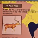 액시스사슴 이미지