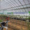 이종국농장 이미지