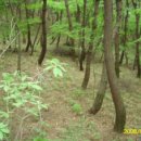 삼봉농원 이미지