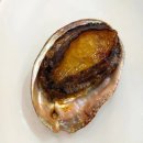 싱싱 | 제주맛집 동문시장횟집 싱싱회센타 푸짐한 싱싱회세트 후기