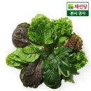 신선한집