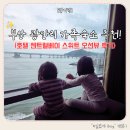 호텔 센트럴베이 | 부산 광안리 가족숙소 추천! 호텔 센트럴베이 스위트 오션뷰 내돈내산 후기