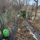 윤씨농장 이미지