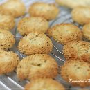 쿠키톡톡 이미지