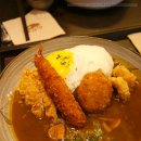 태권치킨(단계점) | 맛있는 일본식 카레가 생각날 때! [건대 노다메]