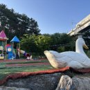 동치골 허브 야생화 마을 이미지