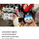에이티커스텀 | 바쁘디바쁜 4학년 일상
