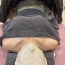 채움가스 | 평택 피부관리 바디채움빚다 V채움 윤곽관리 후기