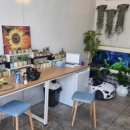 숲속애견샵 이미지