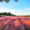 동산농장(1) 이미지