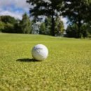 에이스실내골프연습장 이미지