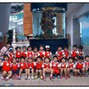 양지뜰어린이집 이미지