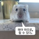 5월, 여유와 억까가 공존하는