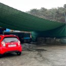 푸른자동차 이미지