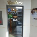 톰앤캣 광명고양이분양 이미지