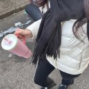주영카서비스 | [2월 둘째주] 오로지 파티만이 계속되는 2월