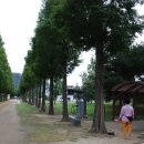 치유, 명상의 숲 이미지