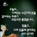 푸른향기 이미지