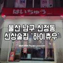 하이츄우 이미지