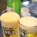 청년조개 이미지