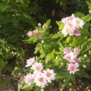 용미4리 이미지