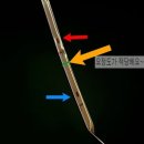 아트모터스 네이버블로그
