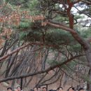 무풍시장 이미지