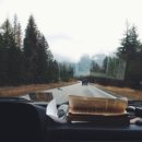 인성교육 지도사 이미지